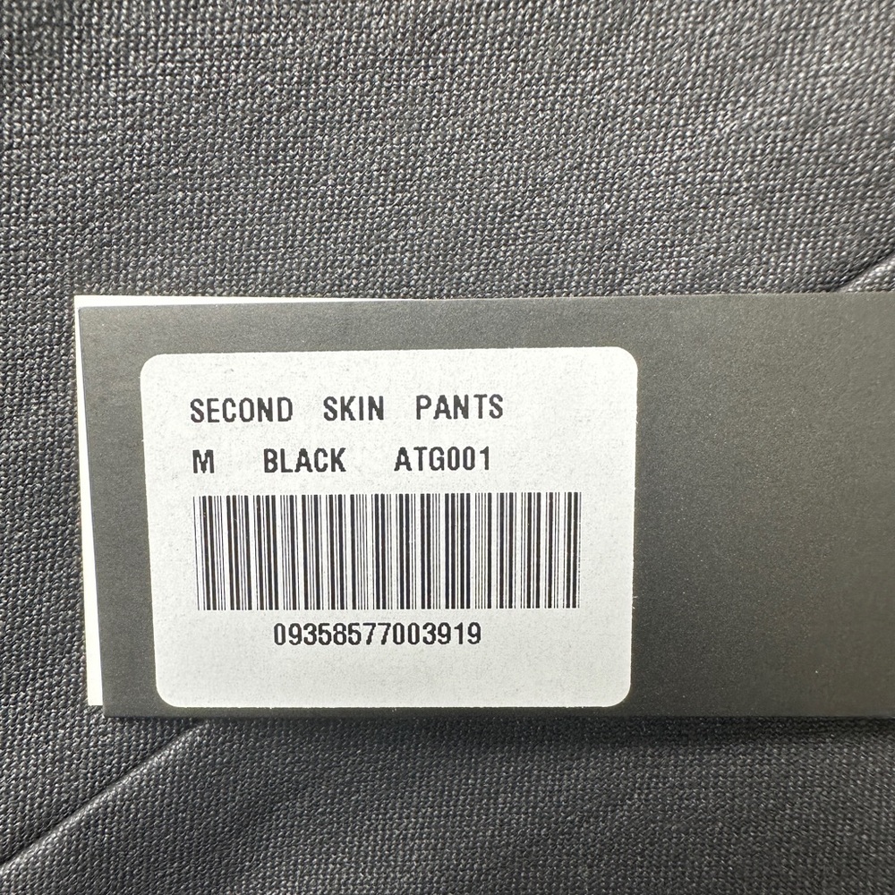 All Things golden leather pants